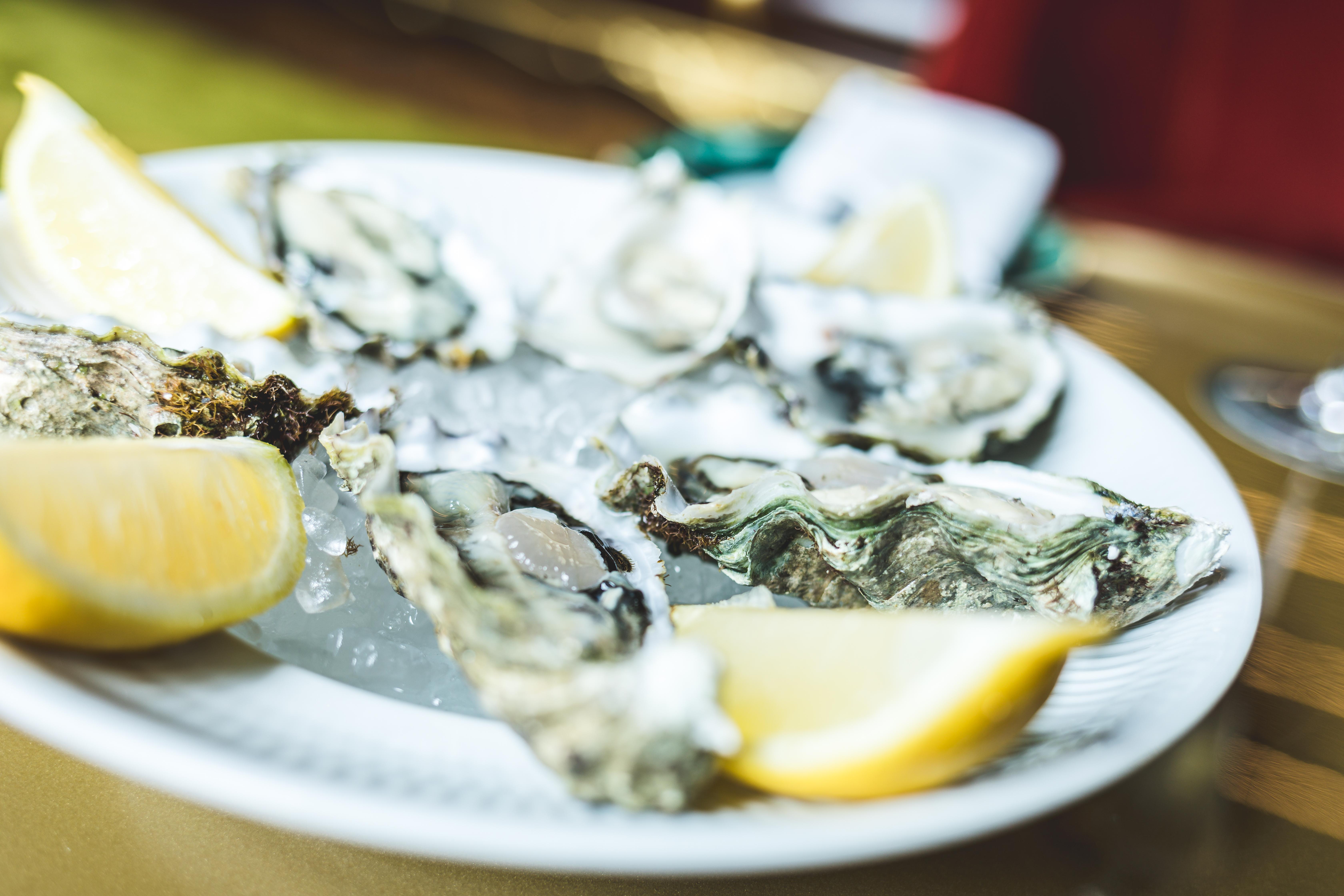 Vila Foz Hotel & Spa - Member Of Design Hotels Porto Eksteriør bilde Oysters on ice with lemon